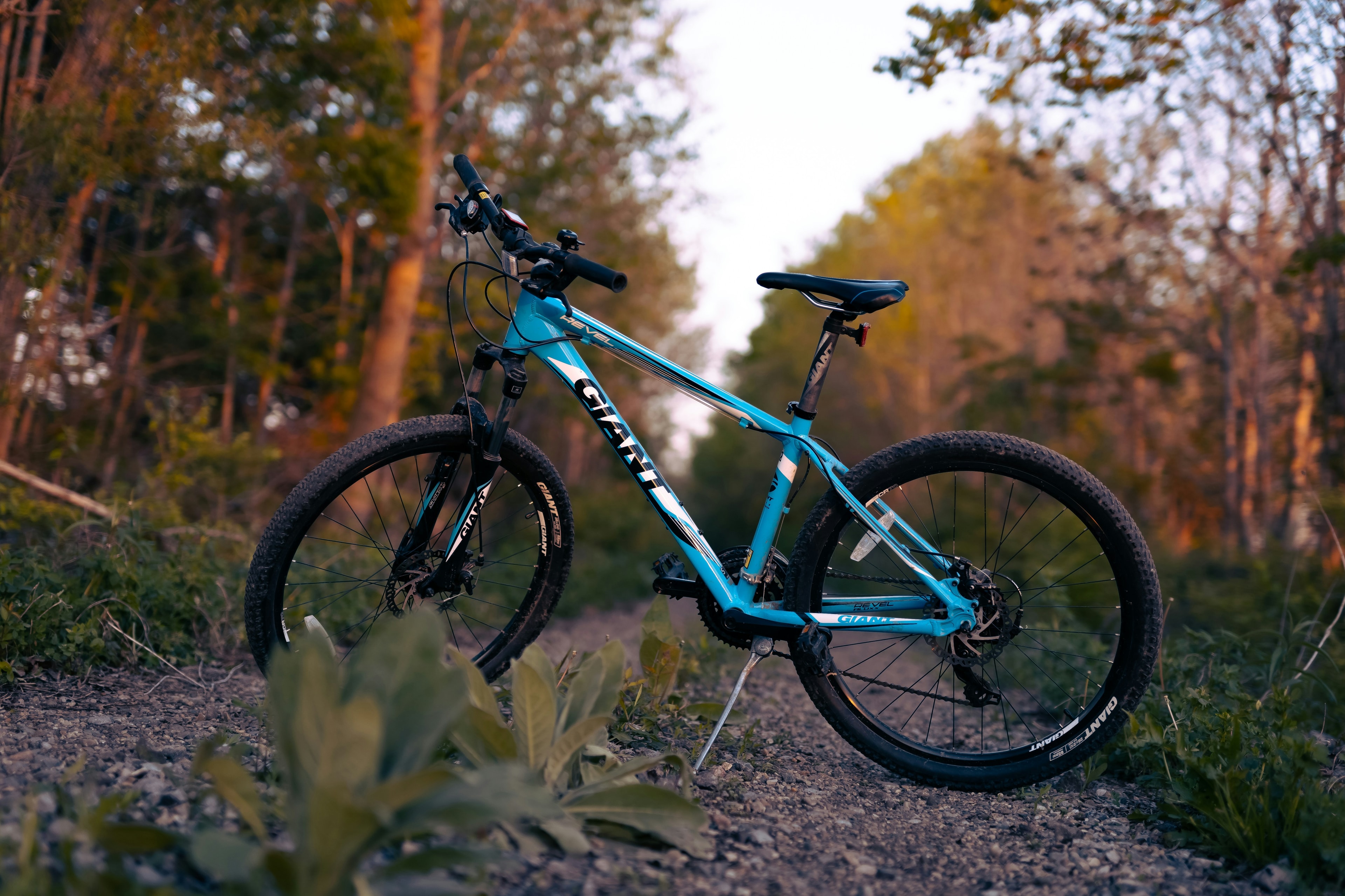 A light-blue bike on its kickstand on a gravel trail through the woods at golden hour.