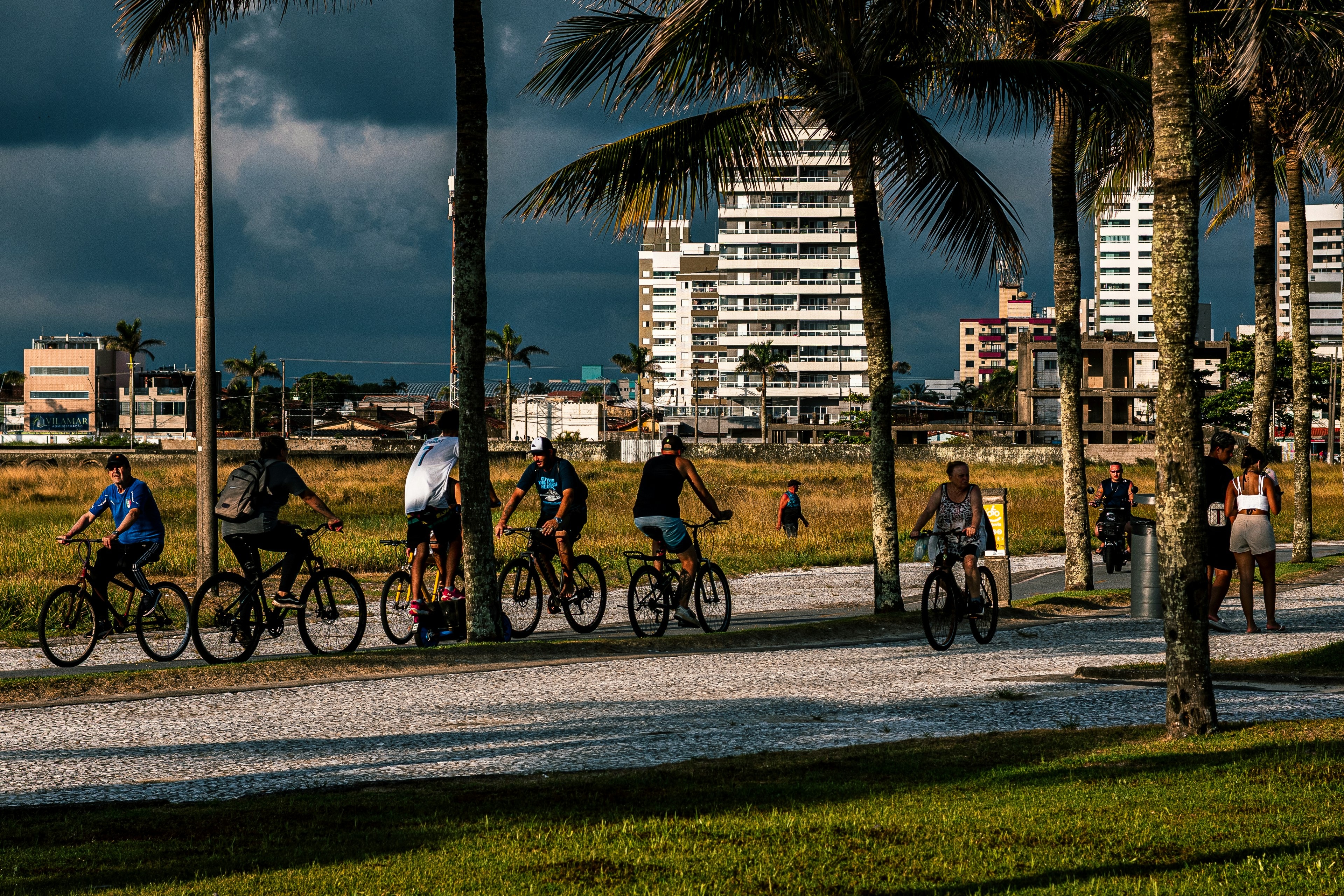Riders in single file along a palm-lined path in low golden light, storm clouds over the high-rises behind.